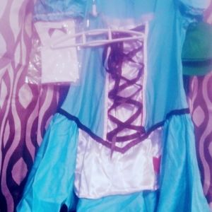Alice costume XL
